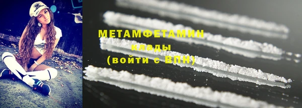 шишки Пестово