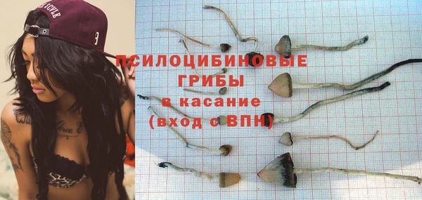 шишки Пестово
