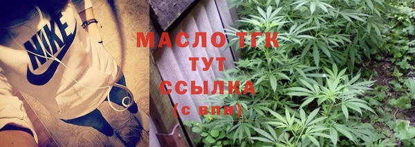 шишки Пестово