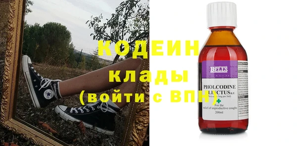 шишки Пестово