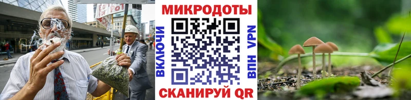 закладки  это клад  Псилоцибиновые грибы ЛСД  Холм 